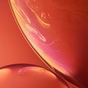 Meet your Posher, Jayden